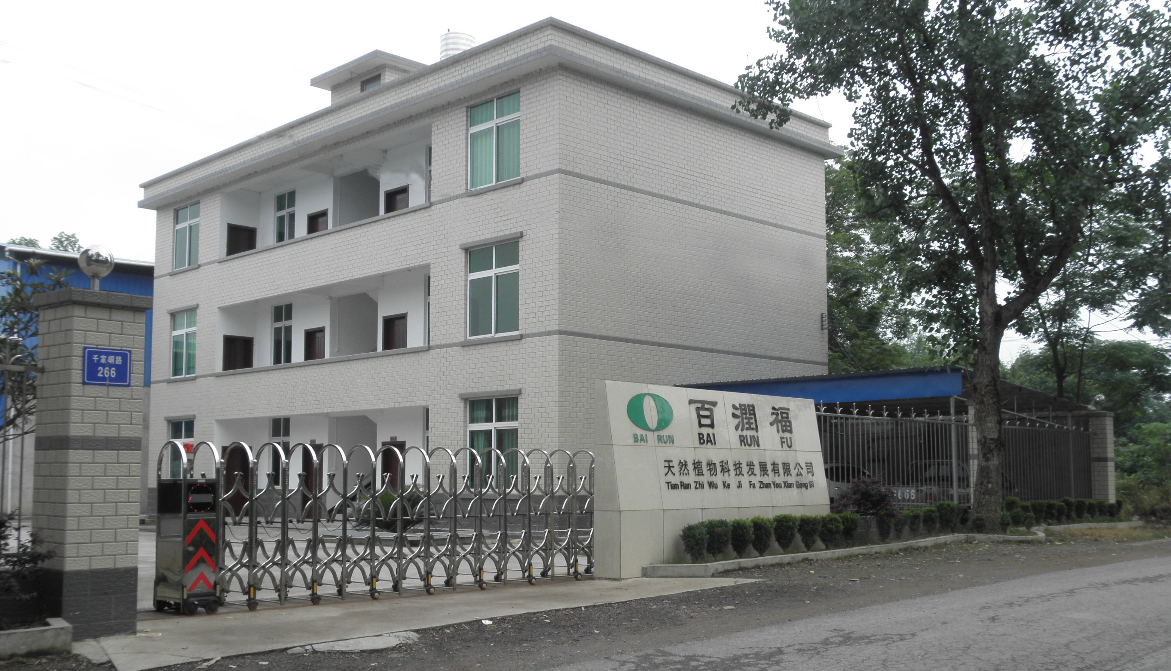 公司面貌2 公司面貌2
